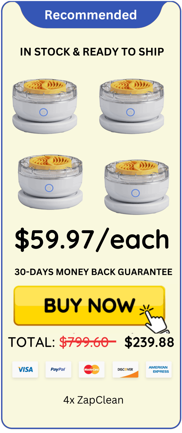 ZapClean offer package price 